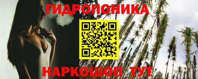 крисы Дубна