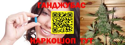 крисы Дубна
