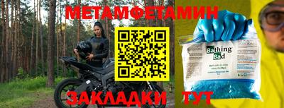 прущие грибы Гусев