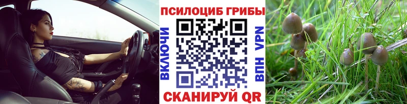 Галлюциногенные грибы прущие грибы Коммунар
