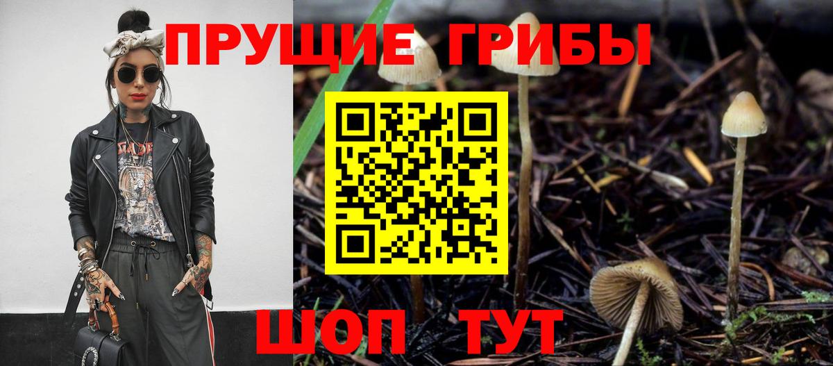 магазин  наркотиков  Псилоцибиновые грибы Magic Shrooms  Вход с VPN  Коммунар 